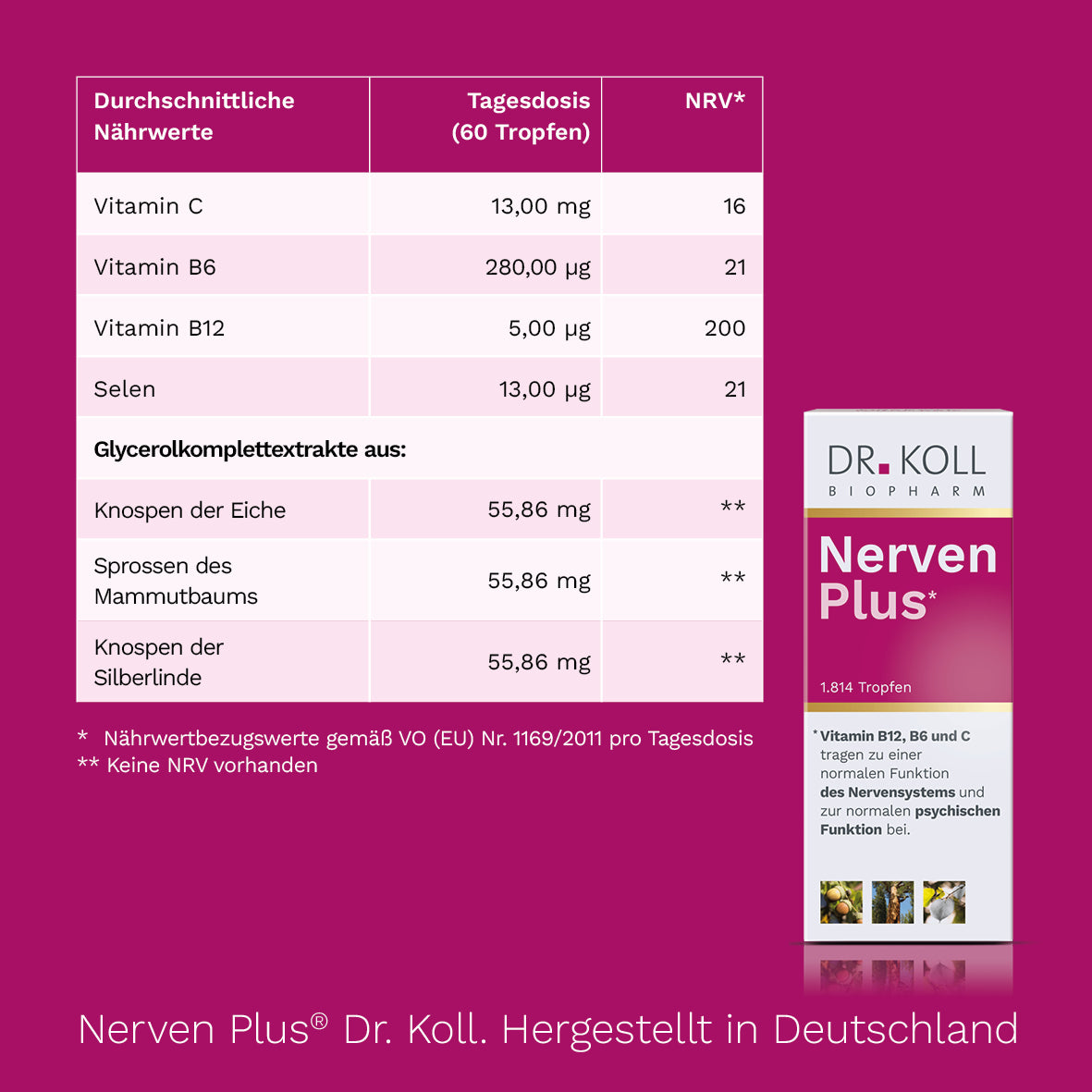 Nerven Plus Dr. Koll